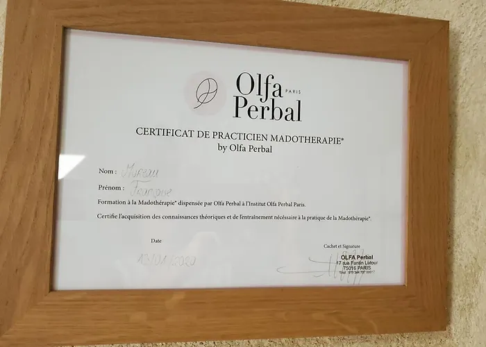 Domaine De La Gémolière 4*